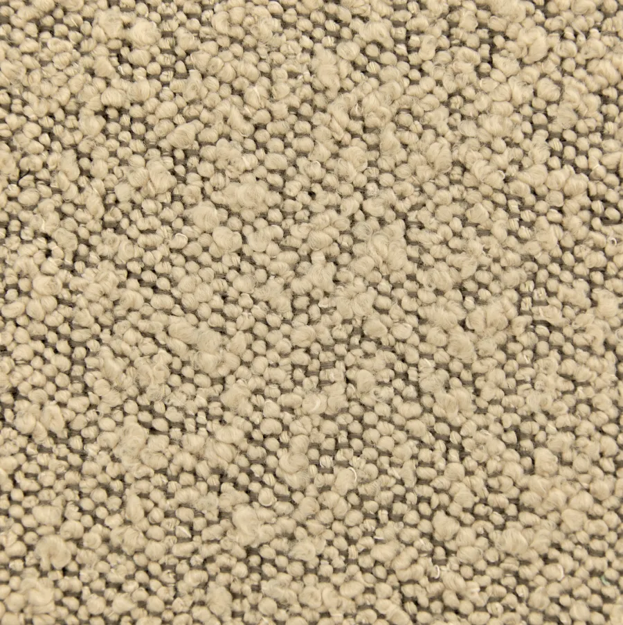 Coleção ASCOT - Champagne