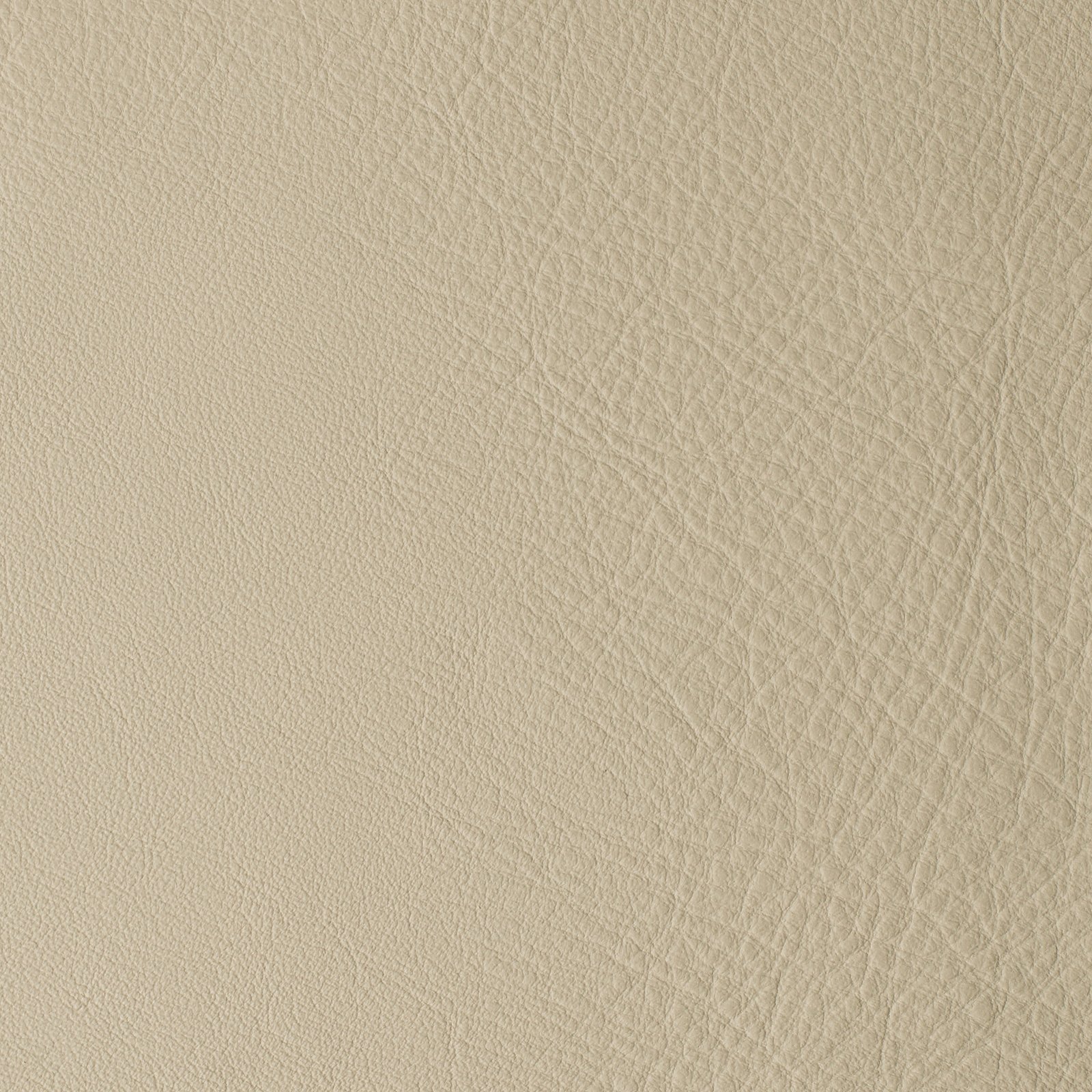 Papyrus