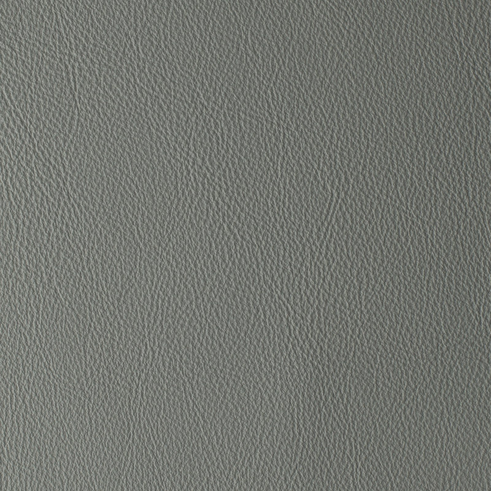Plaster