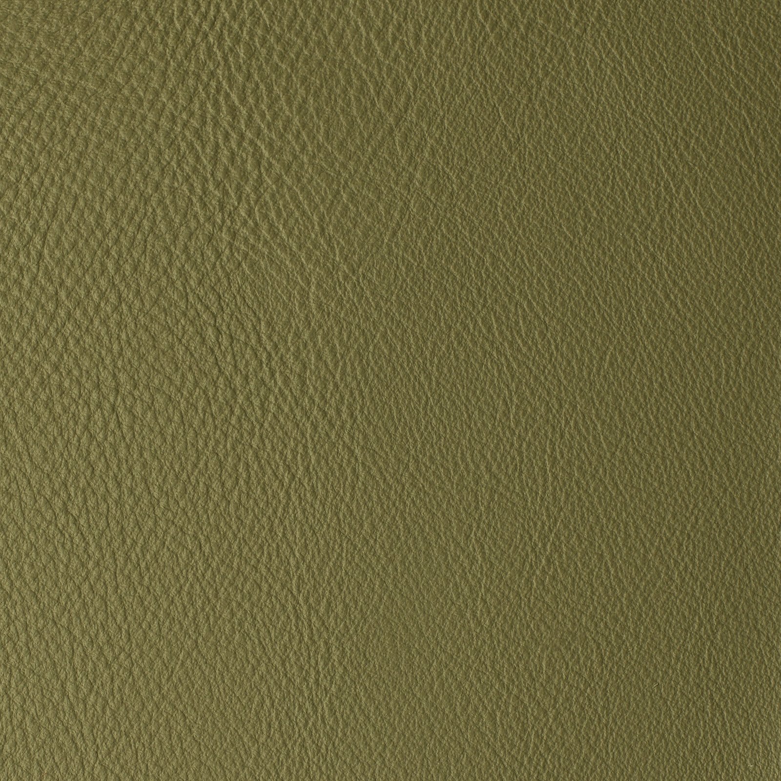 Moss