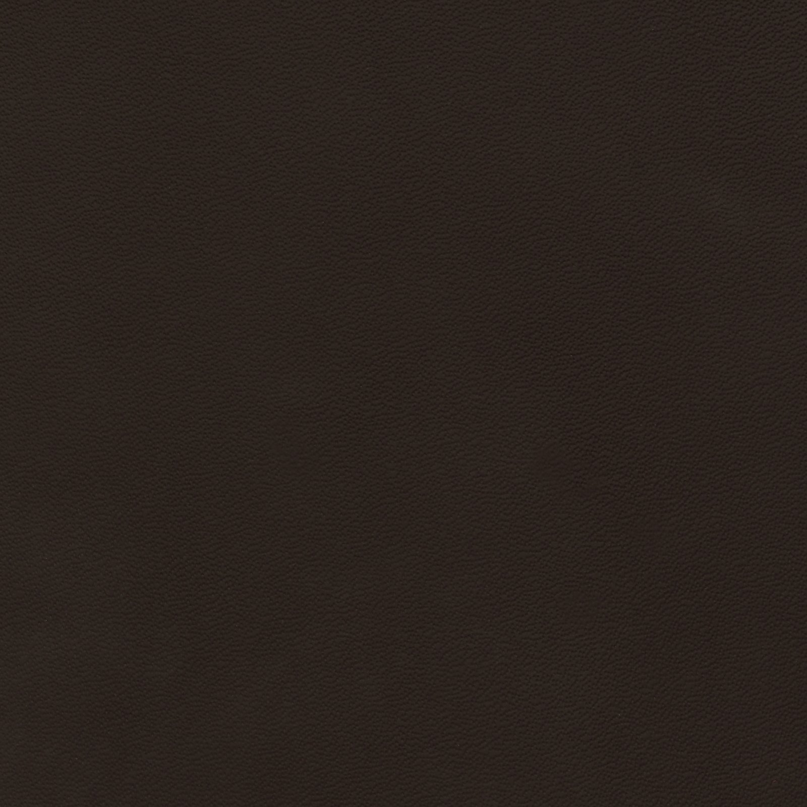 Ebony