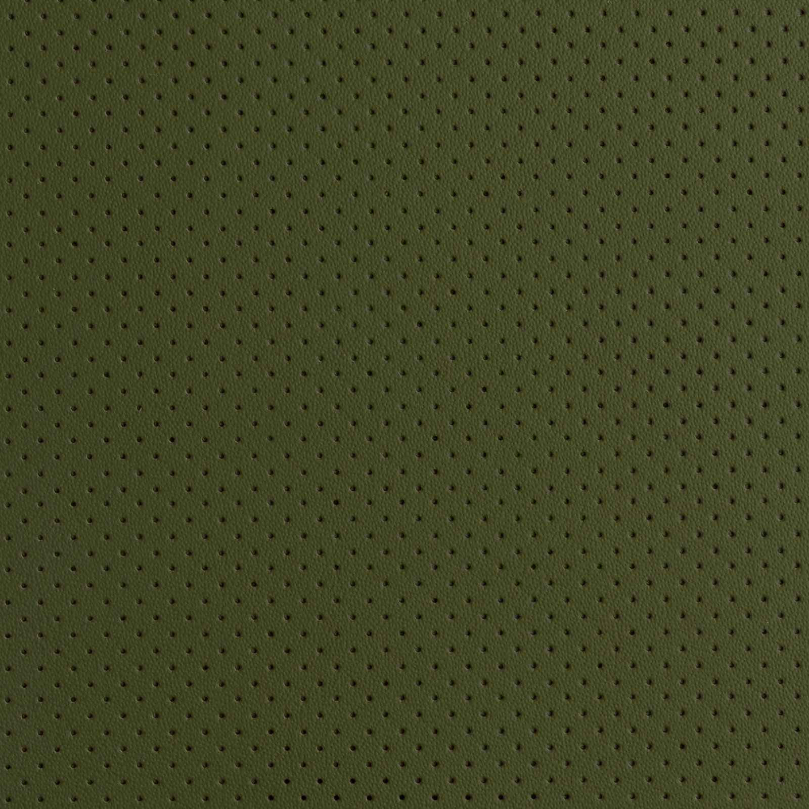 Monaco Green Perforated