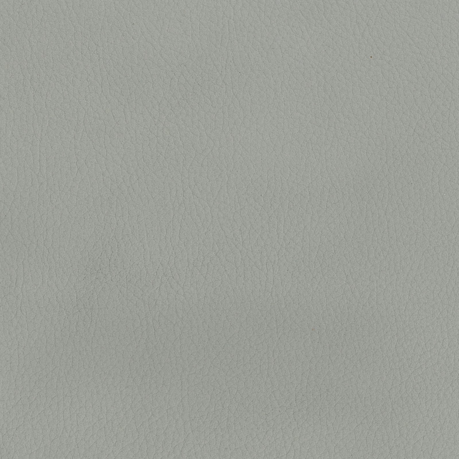 Cement