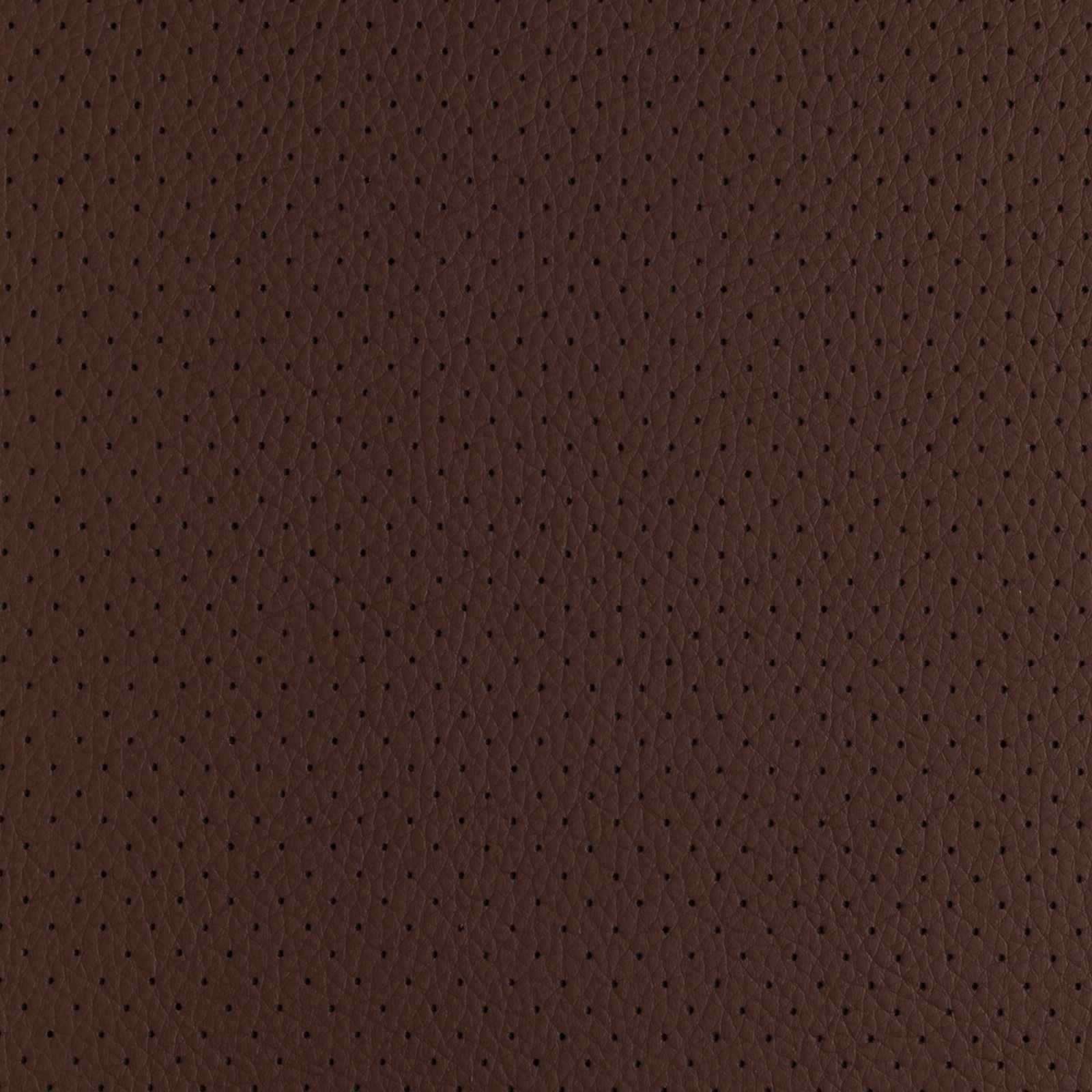 Voyager Chocolate F Cópia