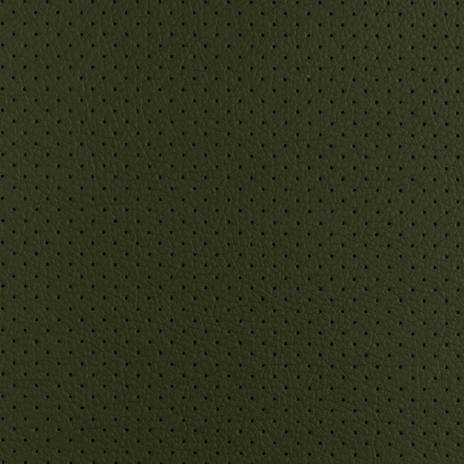 Voyager Green F Cópia