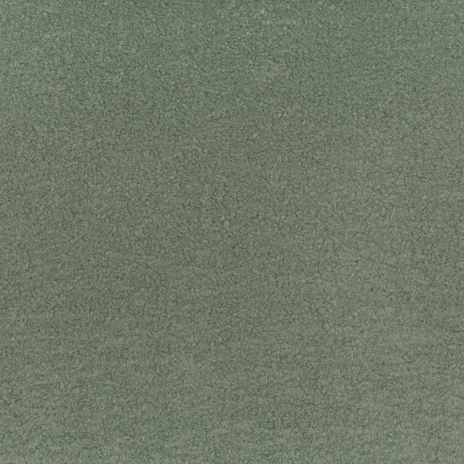 Pine