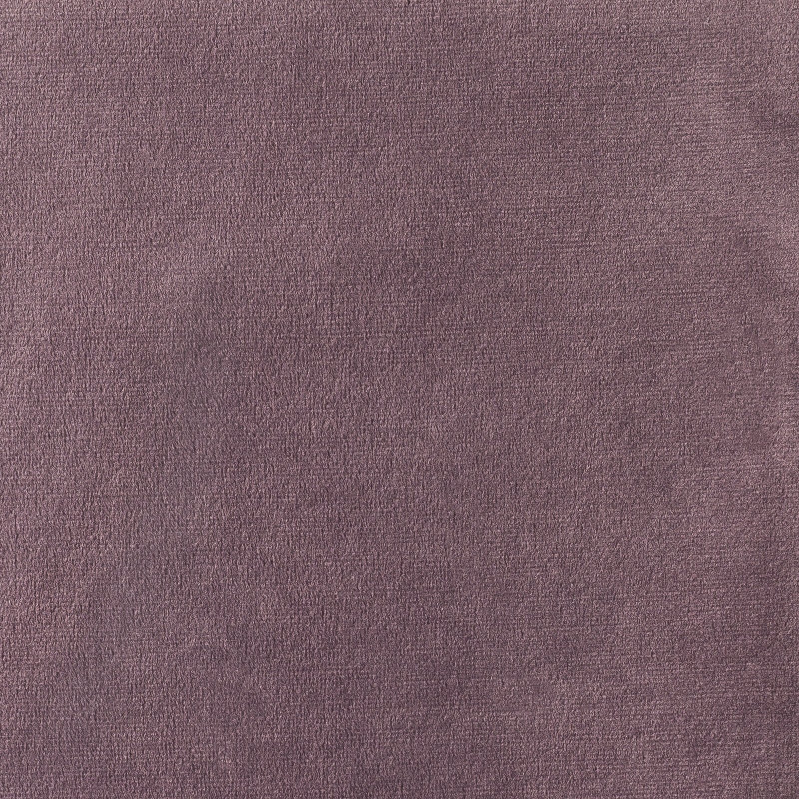 Paris Lavanda