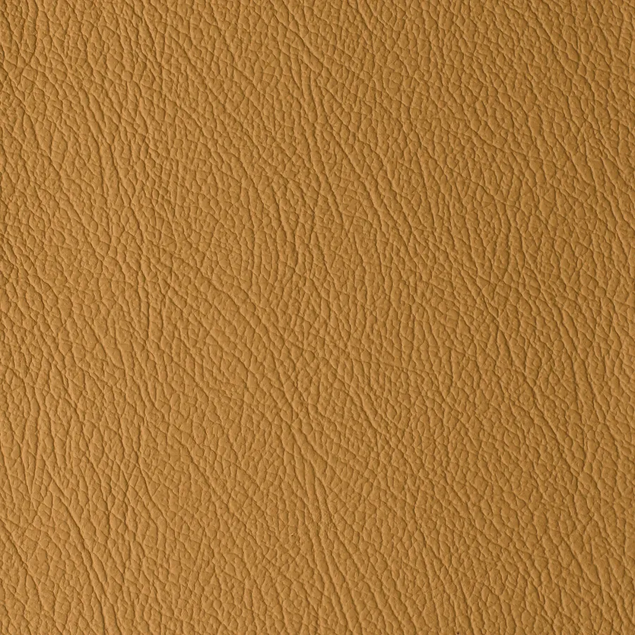 Coleção DAYTONA - Honey