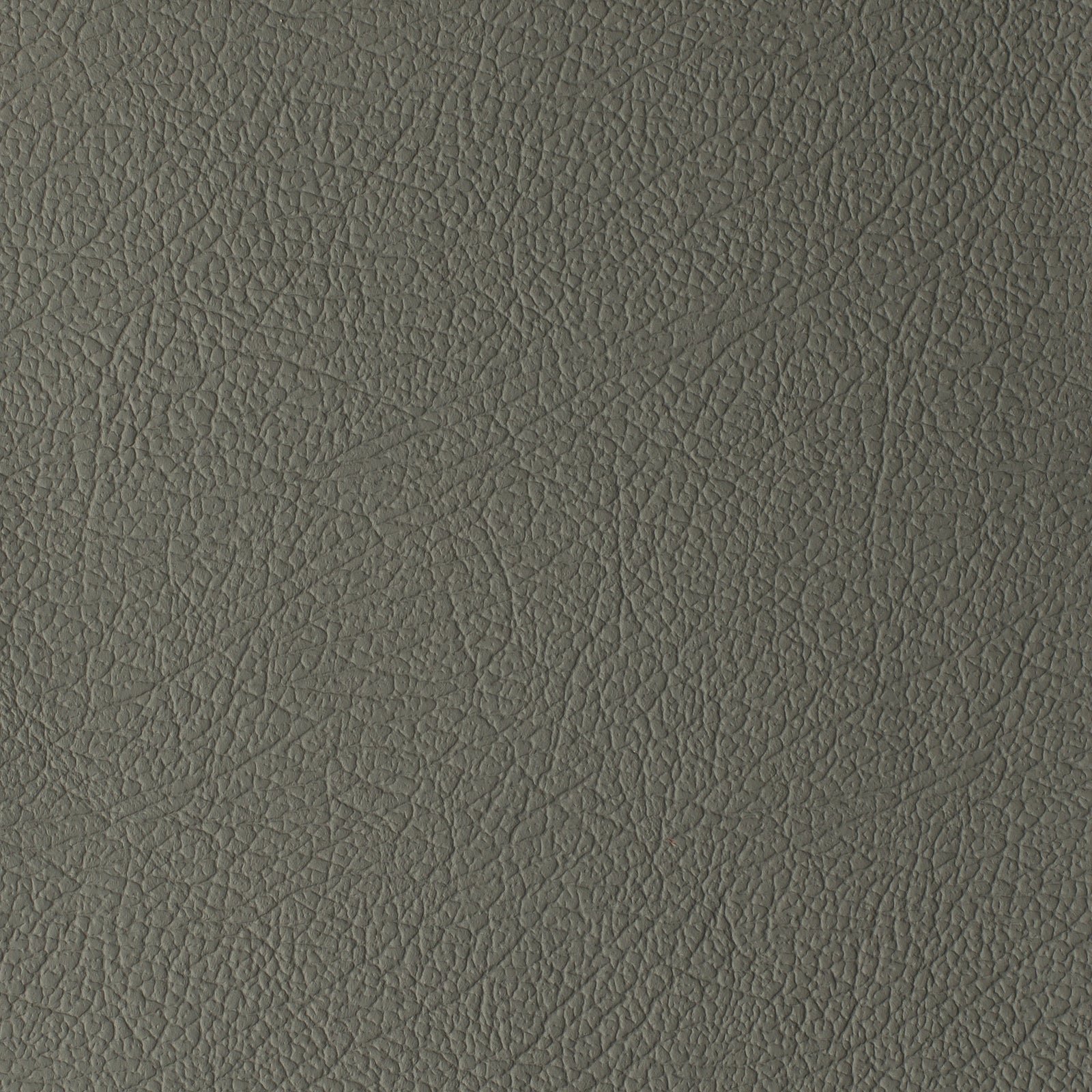 Plaster